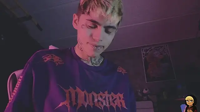AcidMilo webcam