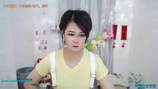 Fan_ting webcam