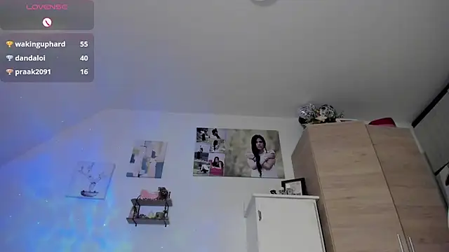 Veronikolsen- webcam