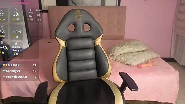 Sweet_cat_t webcam