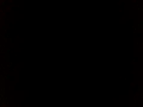 _Maxpein_0 webcam