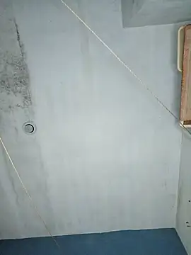 ramito1007 webcam