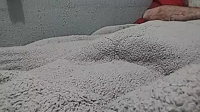 mfreitas005 live sex cam