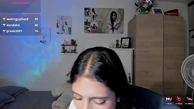 Veronikolsen- webcam
