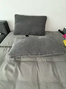 Anal_Top webcam