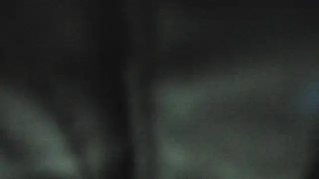 NinaAndRocco webcam