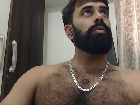 indianhairybull webcam