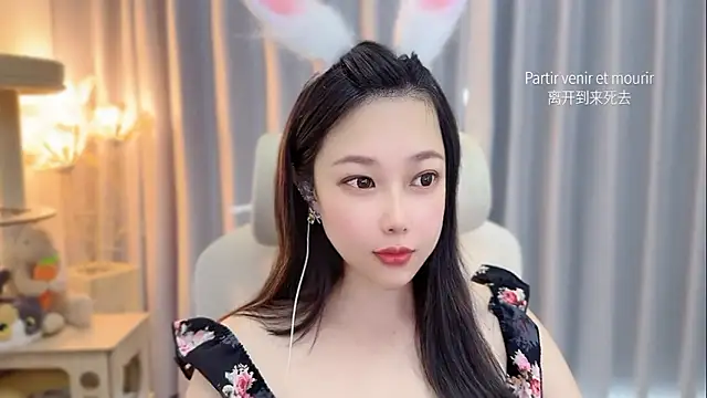 facai-feifei webcam