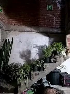 CardoMartinez01 webcam