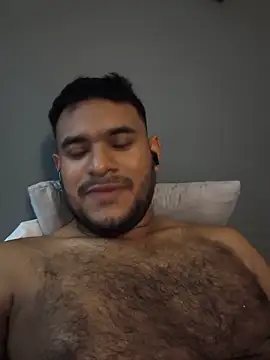 Leonargg webcam