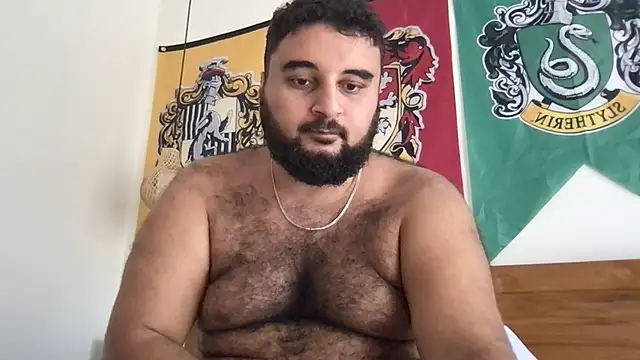 teddy_alan webcam