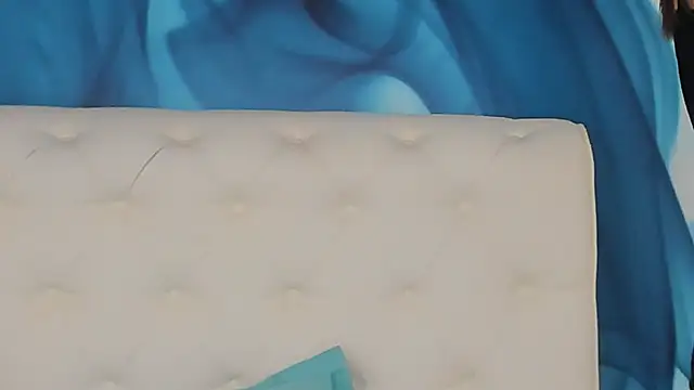 SkinnyDolly webcam