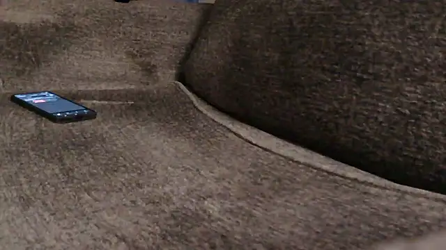 Tricky-Dicky webcam