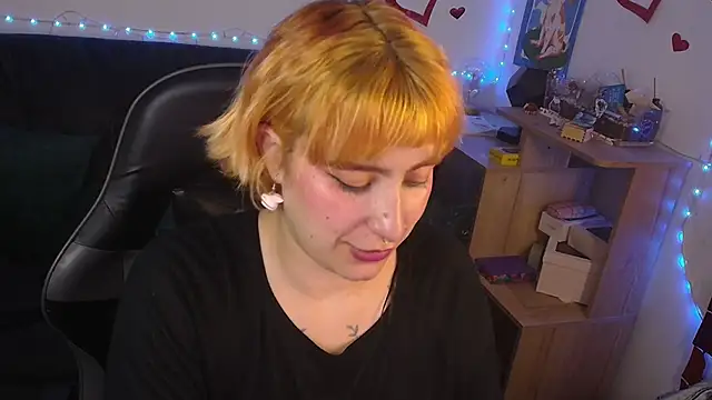 Miacatsito3 webcam