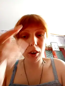 Ponka2011 webcam