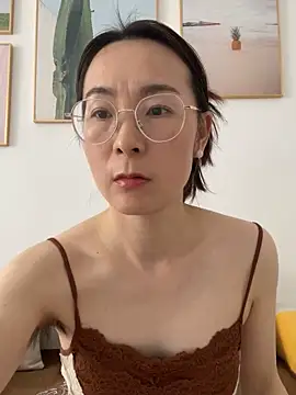 you-520 webcam