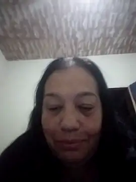catdool webcam