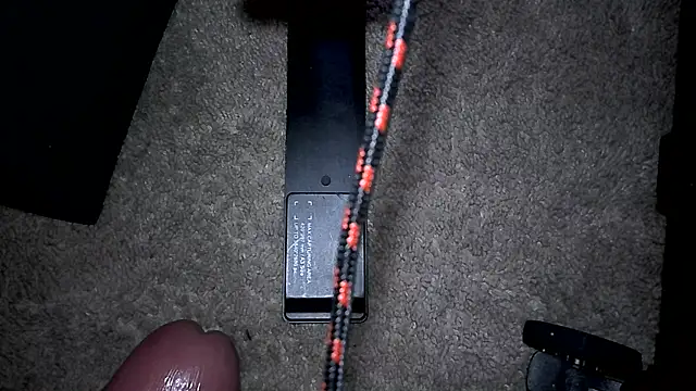 TheGAPEgatsby92 webcam
