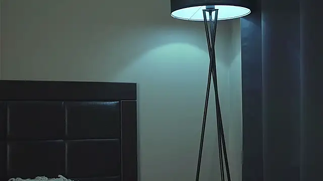akumadadrive webcam