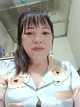 Sana-vn webcam