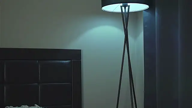 akumadadrive webcam
