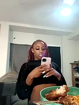 msvelvet20 webcam