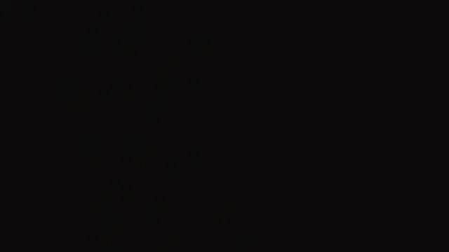 WiloneBoardley webcam