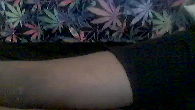 libraxxxstudios webcam
