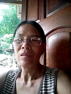 toyo_668 webcam