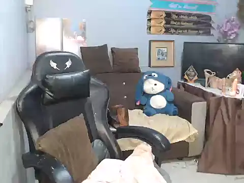 Salomesalvi webcam