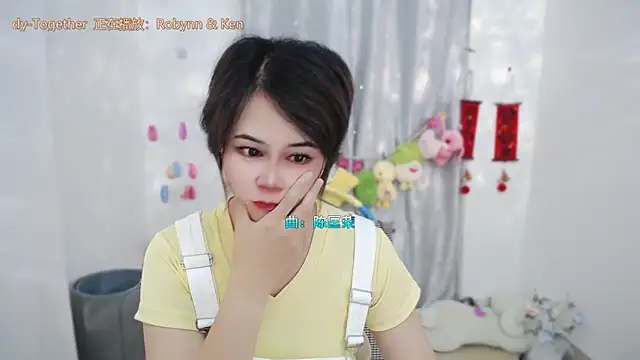 Fan_ting webcam