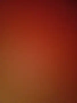 Mini_ara webcam