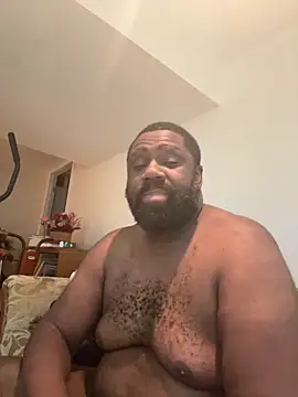 KOdaLion webcam