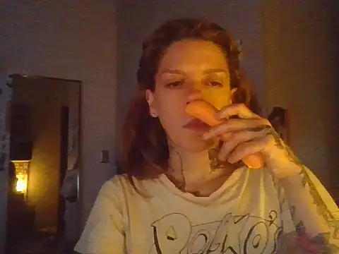 plsmecha webcam