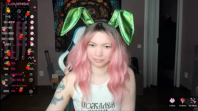 Project_hisoka webcam