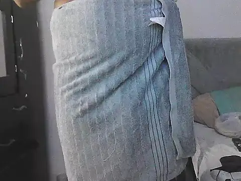 IronSideBear webcam