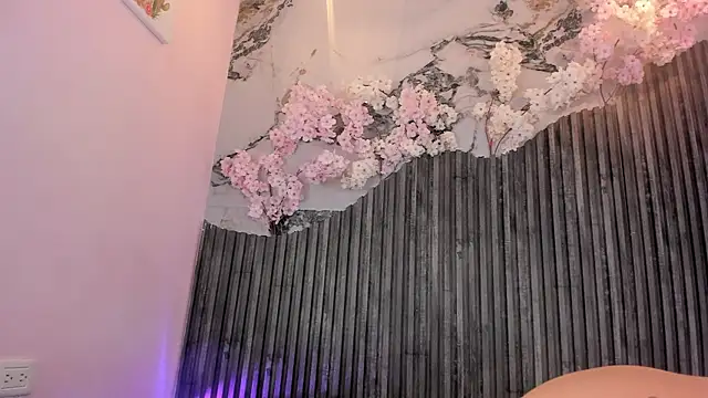 Zephyra_bms webcam