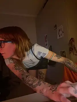 plsmecha webcam