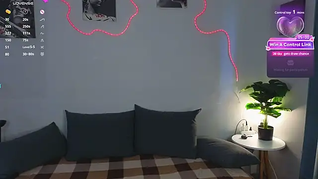soft_chaos webcam