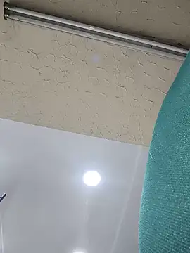 24Centimetrovergon webcam