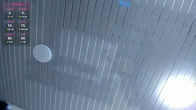 top_mary webcam