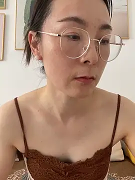 you-520 webcam