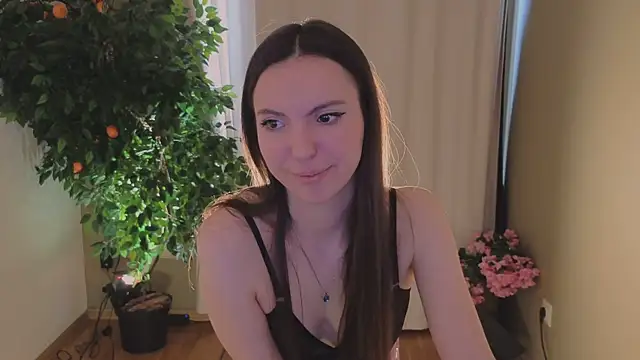 Alice-Lidel webcam