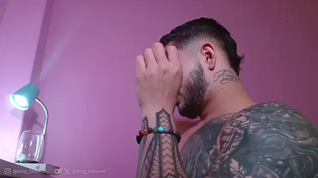 king_falconer webcam