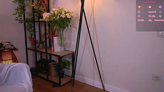 MaydaCornwall webcam