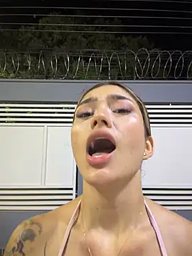 Arianavillada webcam
