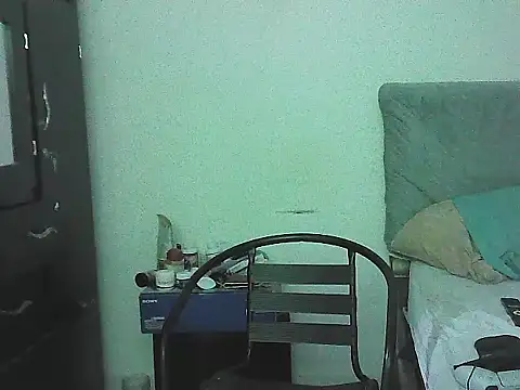 IronSideBear webcam