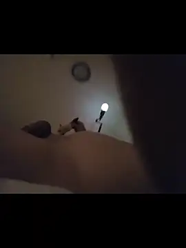 twistafatpipe webcam