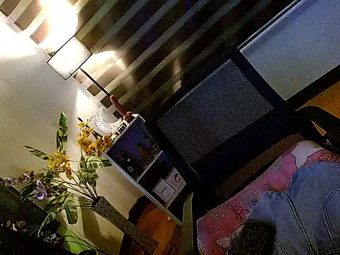 cindysweetcandy webcam