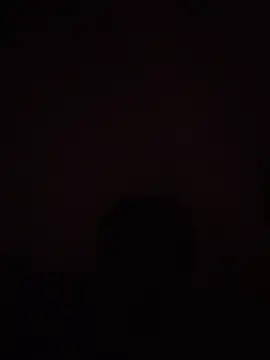 Stefiveloz webcam